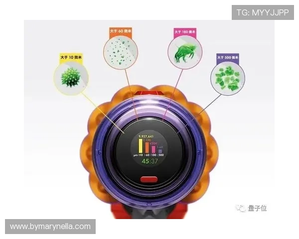 星空平台入口的功能介绍与用户体验评测