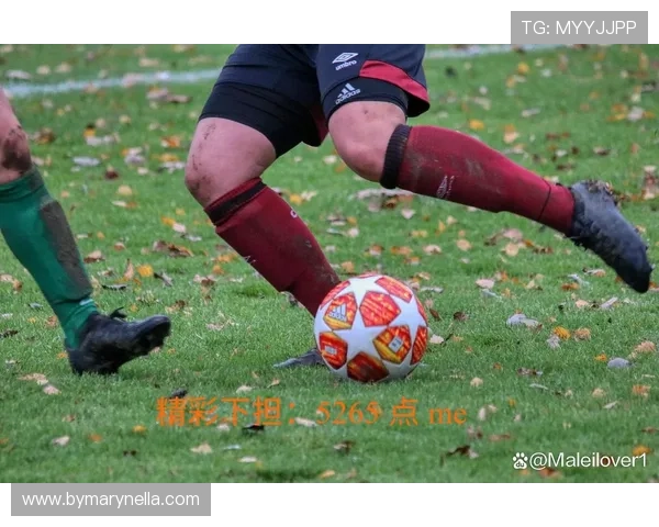 星空体育官方平台app：畅享精彩赛事的最佳体育娱乐平台推荐