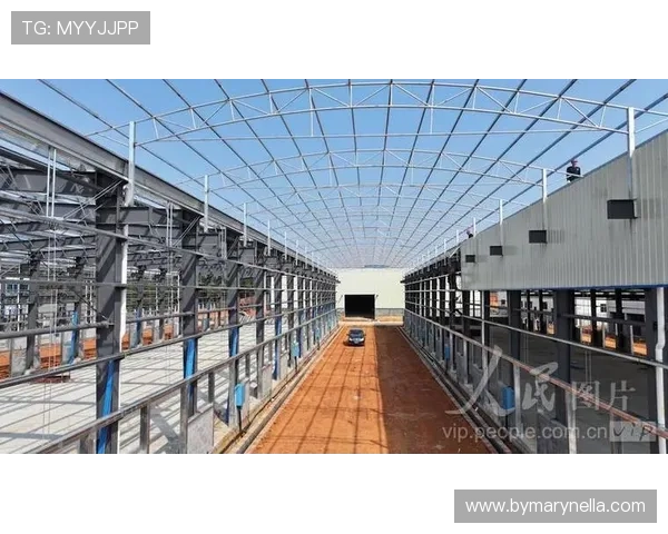 博鱼官网登录平台全新上线，稳定安全保障每一位玩家的游戏体验