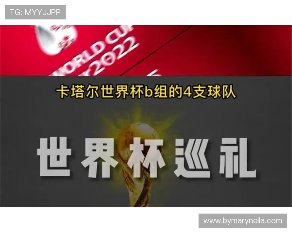 2026年比利时伊朗世界杯比赛观赛攻略及入场注意事项全攻略
